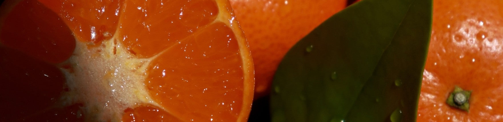 Mandarin & Orange